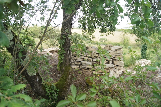 Une cabane en pierre sèche appelée caborne  dans la vallée des Buis  